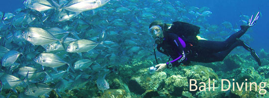 bali diving at tulamben north east bali
