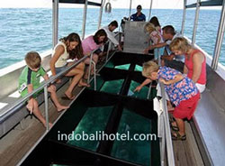 glass bottom boat tanjung benoa bali