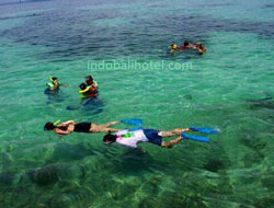 bali snorkeling at tanjung benoa nusa dua beach hotel