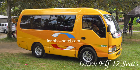 mini bus isuzu elf 12 seats bedugul bali