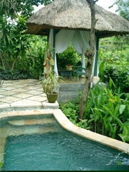 pool at alam puri villa