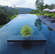 pool at alila ubud