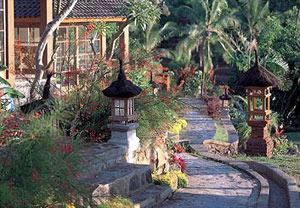 damai lovina villa