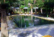 Swimming pool - Segara Village Bali