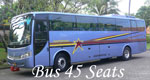 bali bus rental 45 seats